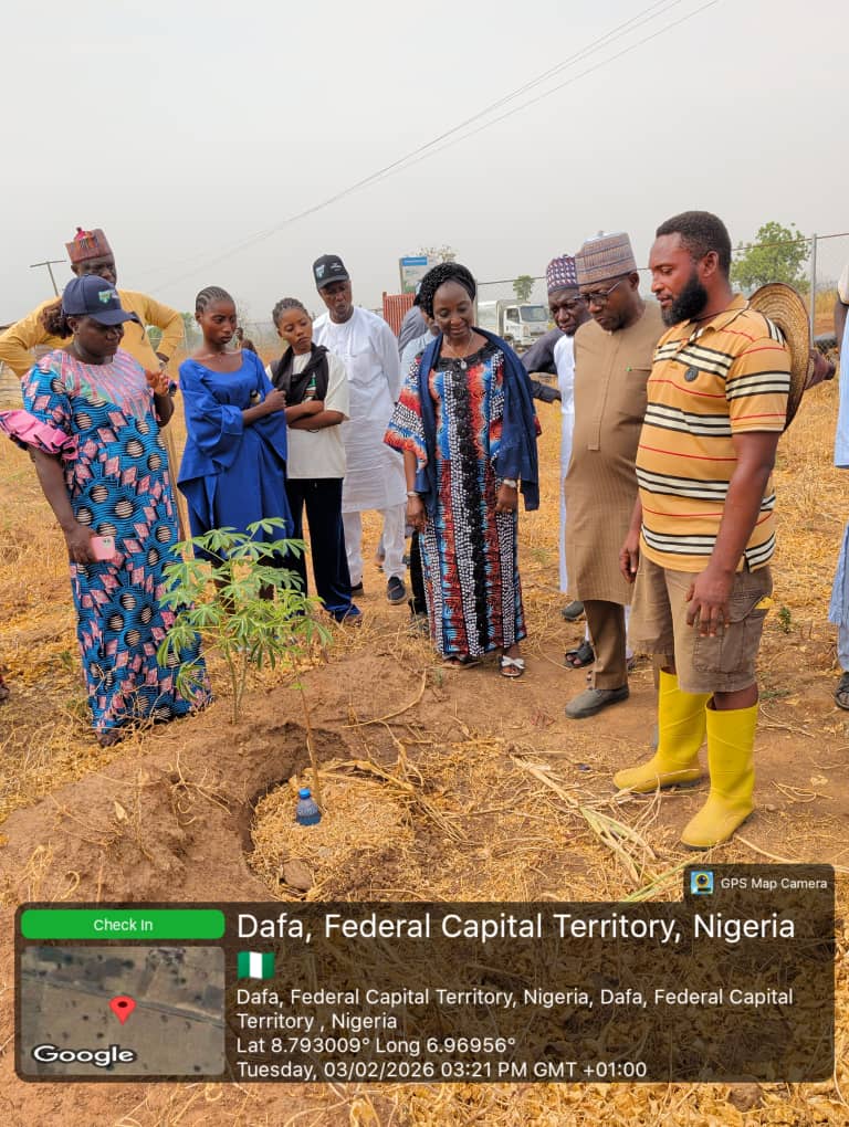 FAO Land 1