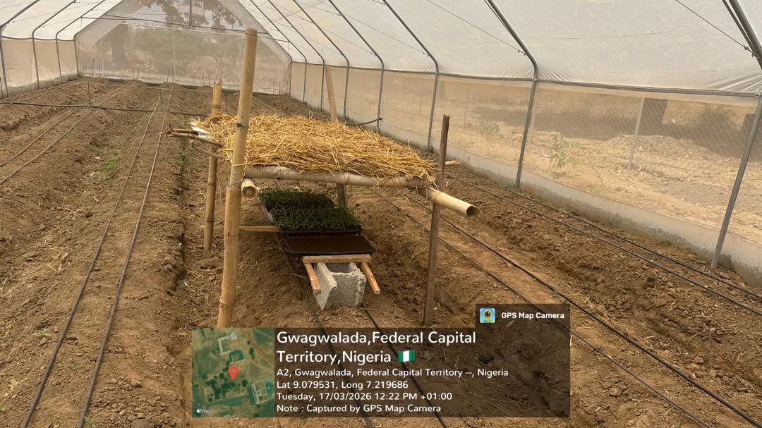 Green House Zuba 3